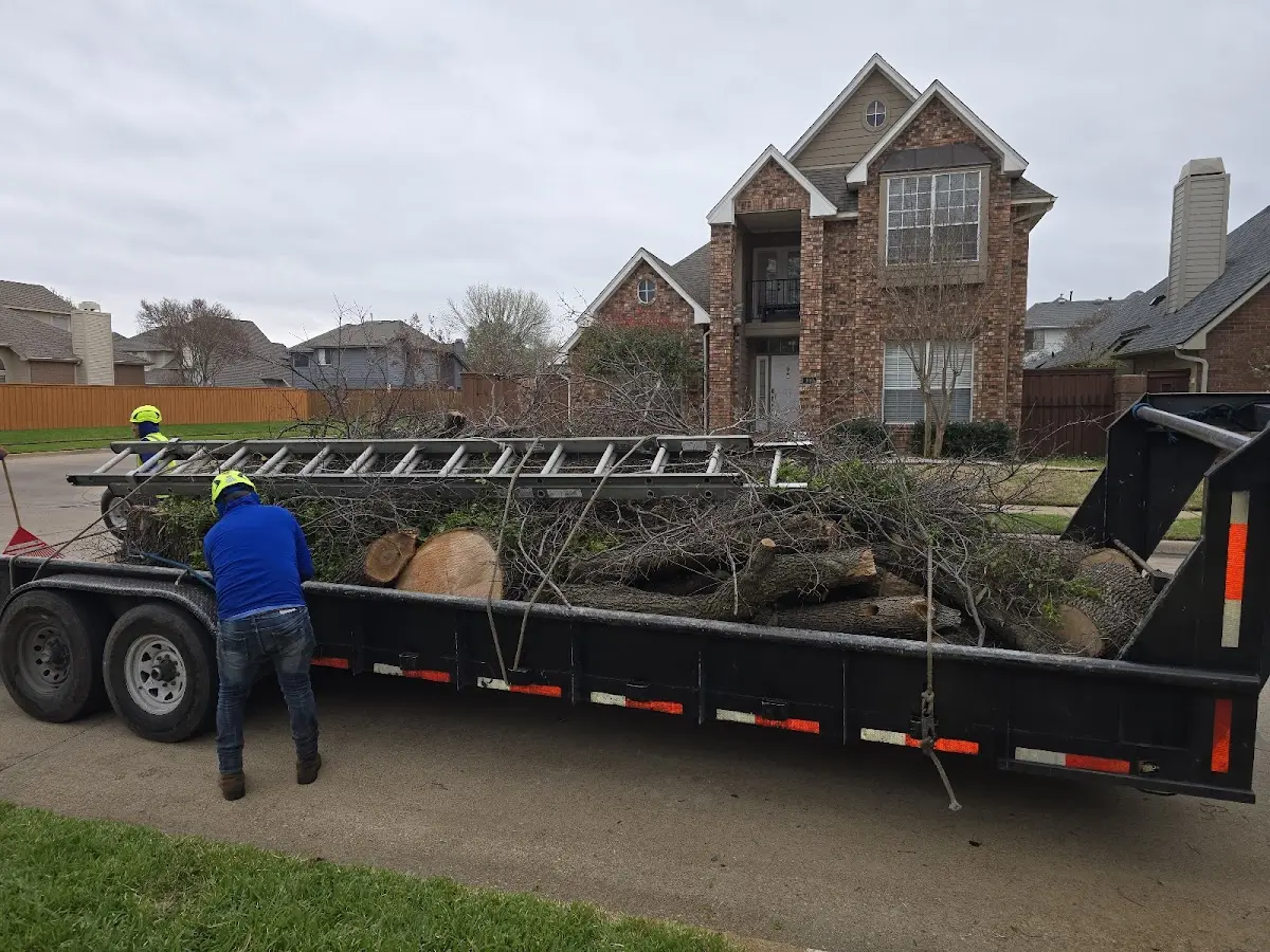 Expert Tree Fertilization with proper safety equipment in Avon